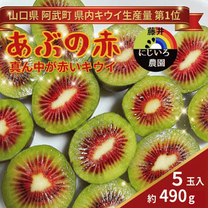 【先行予約】赤いキウイ あぶの赤 約490g 希少品種 極甘 山口県 阿武町産 国産 フルーツ《2026年10月中旬～2027年1月下旬発送》　
