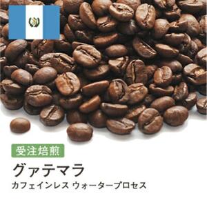 コーヒー豆 #250 グアテマラ カフェインレス ウォータープロセス 受注焙煎！310g 珈琲豆  自家焙煎