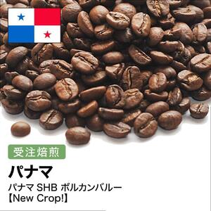コーヒー豆 #267 パナマSHB ボルカンバルー 受注焙煎！310g 珈琲豆  自家焙煎