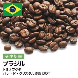 コーヒー豆 #276 ブラジル トミオフクダ バレ・ド・クリスタル農園DOT 受注焙煎！310g 珈琲豆  自家焙煎