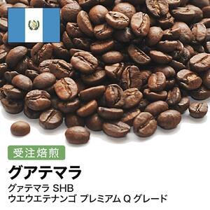 コーヒー豆 #280 グァテマラ SHB ウエウエテナンゴ プレミアムQグレード 受注焙煎！310g 珈琲豆  自家焙煎