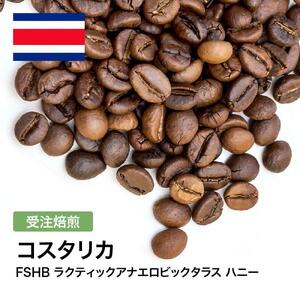 コーヒー豆 #306 コスタリカ FSHB ラクティックアナエロビックタラス ハニー 受注焙煎！310g 珈琲豆  自家焙煎