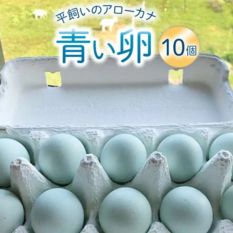 平飼いのアローカナ卵 10個 [ら ぷち ふぁみ～ゆ 北海道 剣淵町 14656182]