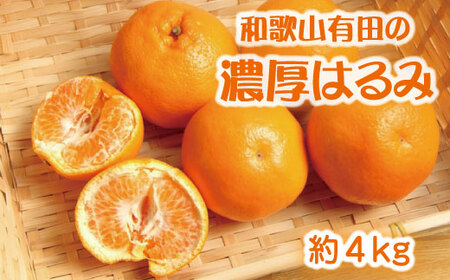 濃厚 はるみ みかん 2Ｌ ～ 3Lサイズ 約4kg 【2027年１月下旬～２月中旬頃に順次発送予定】【AA90234-ard010C】