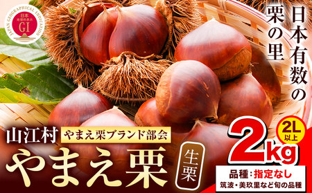 GI認証登録 山江村の やまえ栗 生栗 2kg 品種指定なし 筑波 美玖里 など旬の品種 やまえ栗ブランド部会 有限会社やまえ堂《9月下旬-10月中旬頃出荷》熊本県 球磨郡 山江村 栗 くり フルーツ 熊本県産 果物 早期 予約 