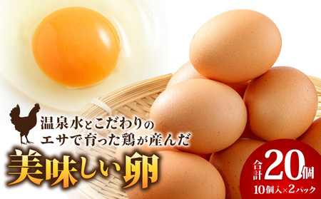 2525 温泉水 と こだわりのエサ で育った 鶏 が産んだ 美味しい 卵 20個（ 10個入 × 2パック ）※18個+破卵保障2個 KN021-035