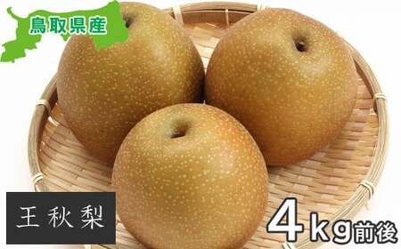 プレミアム王秋梨　4kg【梨 赤梨 王秋梨 おうしゅうなし 4kg 先行予約 期間限定 数量限定 なし ナシ 晩生種 果物 くだもの フルーツ 旬 厳選 プレミアム 高糖度 甘い 贈り物 ギフト お取り寄せ 産地直送 鳥取県】