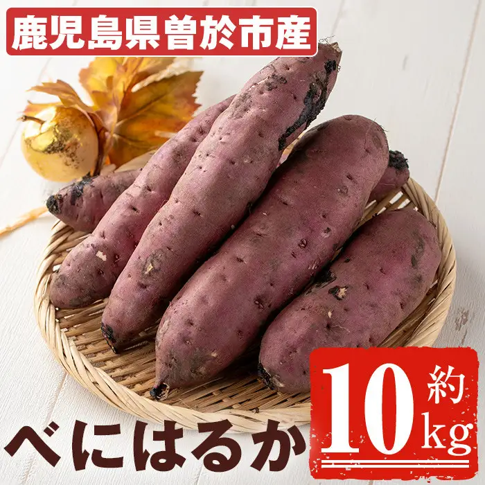 ＜先行予約受付中！2026年8月以降順次発送予定！＞鹿児島県 曽於市産 新物 紅はるか(10kg) 芋 さつまいも【瀬崎農園】A350-v02