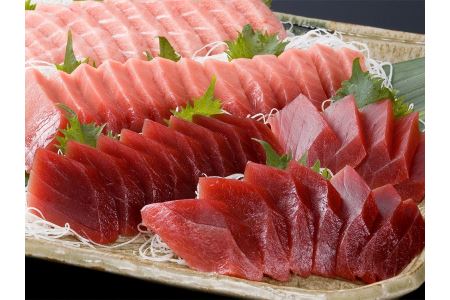 a20-239　焼津港水揚げ ・南まぐろ中トロ付きセット1