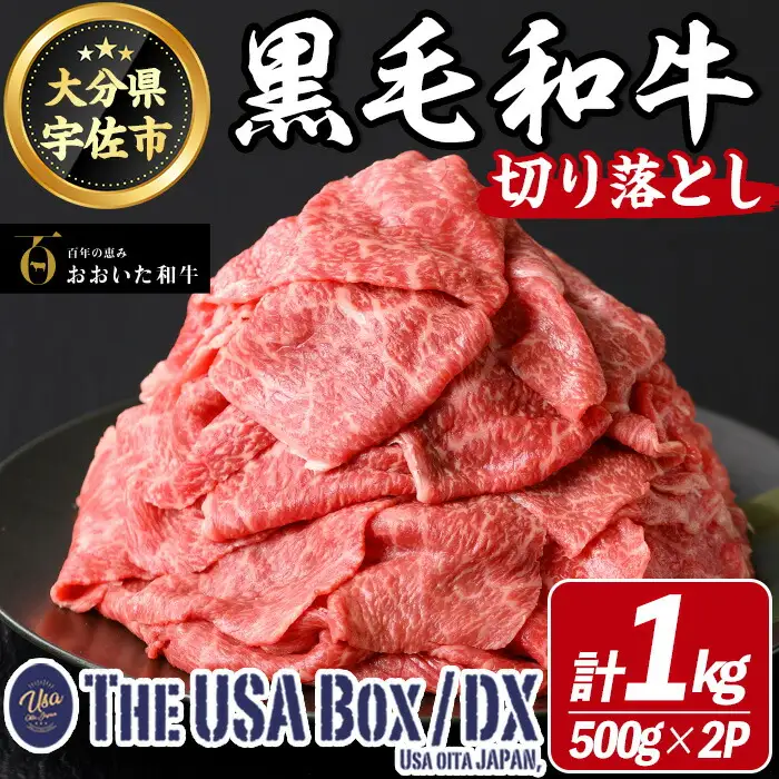 おおいた和牛 切り落とし THE USA Box/DX(500g×2P) 牛肉 黒毛和牛 A4 お肉【114004301】【一般社団法人　地域商社USA】
