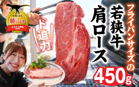 福井県内産若狭牛＜フライパンサイズ＞肩ロース 450g  [A-012010]