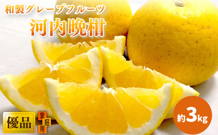 【2026年4月上旬頃から発送】 河内晩柑 優品 家庭用 約３kg｜和製グレープフルーツ 木成り熟成 爽やか みかん ミカン 蜜柑 甘い 酸味 数量限定 期間限定 愛媛県産 甘み 香り 柑橘 松山市 新鮮 【KK3141】