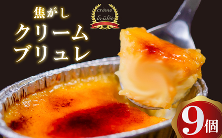 クレームブリュレ9個_スイーツ デザート ブリュレ 高知県 須崎 人気 美味しい セット ギフト プレゼント_【LF020】