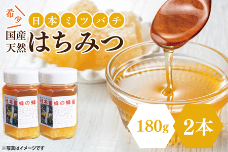 【先行予約】日本ミツバチの国産天然はちみつ 360g（180g×2本）(KH-2)