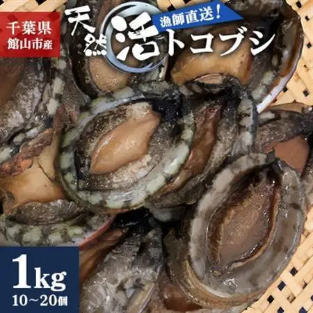 【先行予約】【金曜日発送】漁師直送!天然活トコブシ1kg(10～20個)_美味しい トコブシ 漁師直送 新鮮 国産 送料無料 千葉県_【配送不可地域：離島・北海道・沖縄県・東北・中国・四国・九州】【1532978】