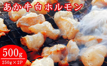 熊本県産あか牛　白ホルモン　500ｇ（250ｇ×２パック）