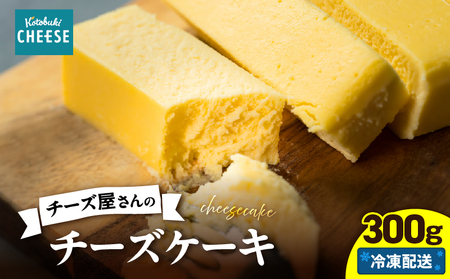 2554 チーズ屋さん の チーズケーキ KN087-008 チーズ 乳製品 ケーキ