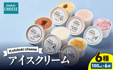 2556 Kotobuki cheese アイスクリーム セット 6種 KN087-007 アイス 菓子 ケーキ