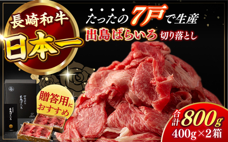 長崎和牛出島ばらいろ切り落とし（モモ、バラ、カタのいずれか）400g×2 計800g  [RCI002] 長崎和牛 切り落とし 長崎和牛 切り落とし九州 長崎