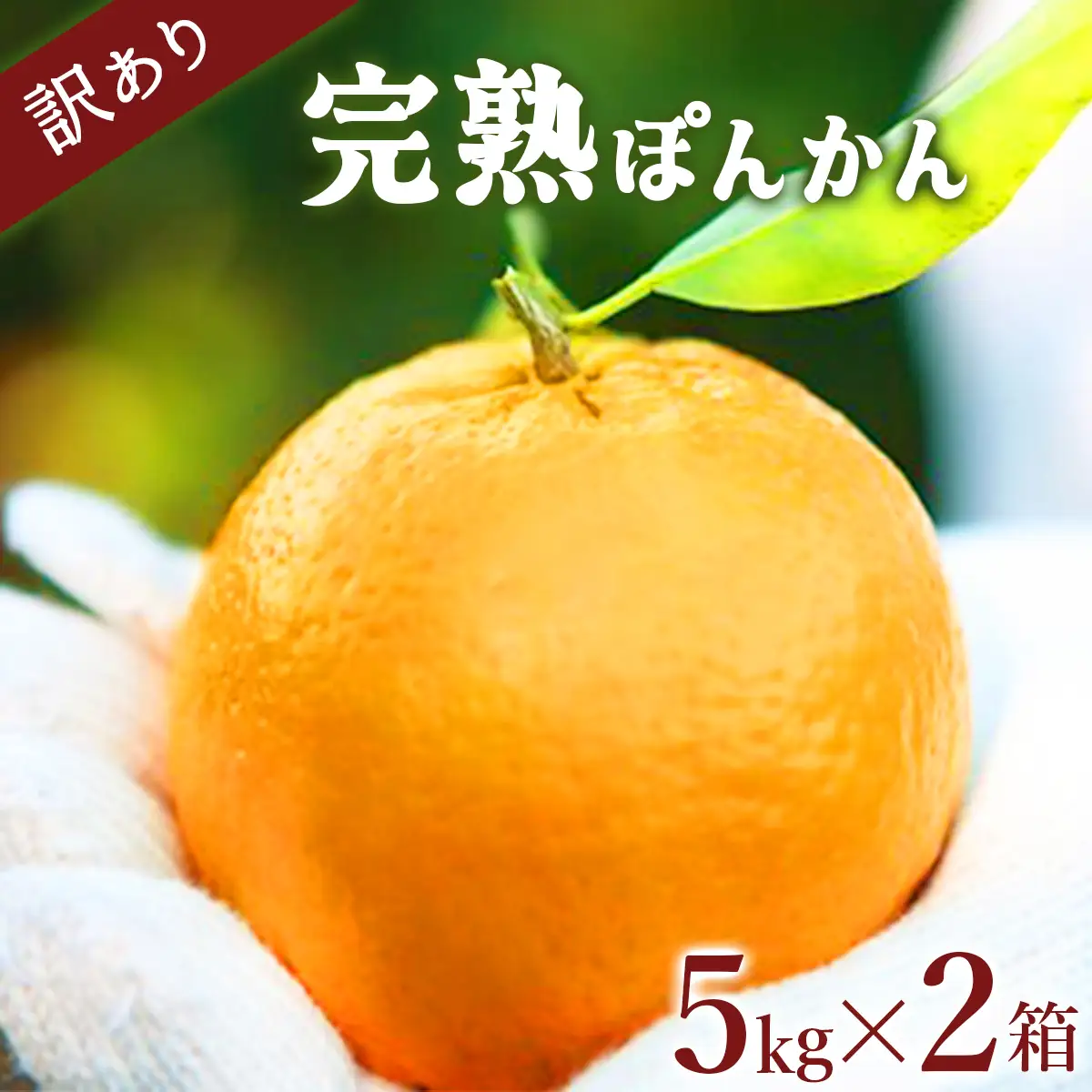 訳アリ完熟ぽんかん＜5kg＞×2箱セット10kg  【株式会社フクチャンFARM】