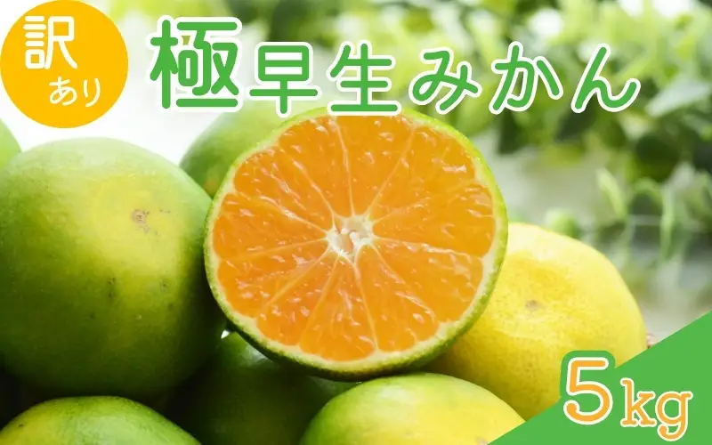 【2026年秋頃発送予約分】【訳あり】こだわりの極早生みかん 約5kg ※2026年10月～11月に順次発送予定サイズ混合 有田産 / みかん ミカン 有田みかん 和歌山  訳あり フルーツ 果実 柑橘 くだもの 果物 【nuk165B】