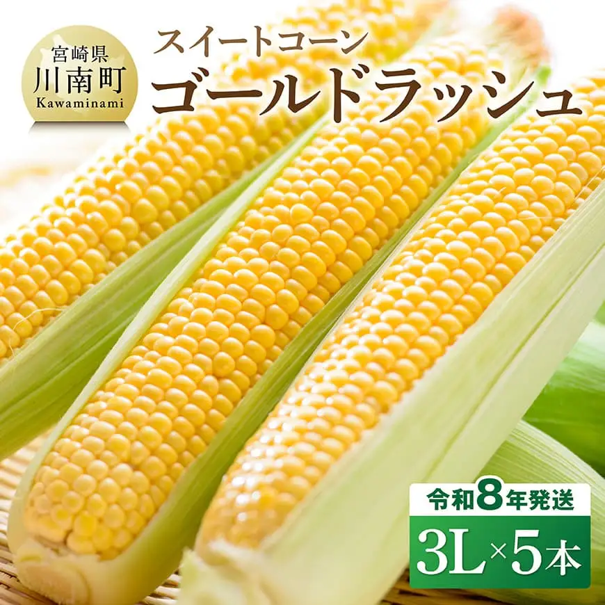 【令和8年発送】宮崎県産とうもろこし　スイートコーン「ゴールドラッシュ」3L×5本【新鮮 農家直送 トウモロコシ 産地直送 季節限定 期間限定 宮崎県産 九州産】