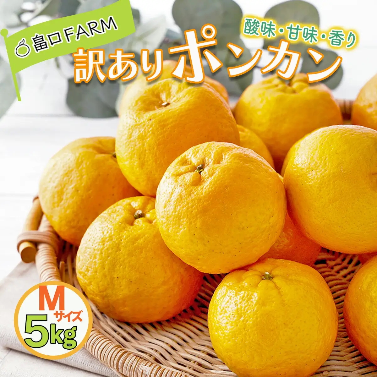 【先行予約】訳ありポンカン ＜5kg＞ Mサイズ