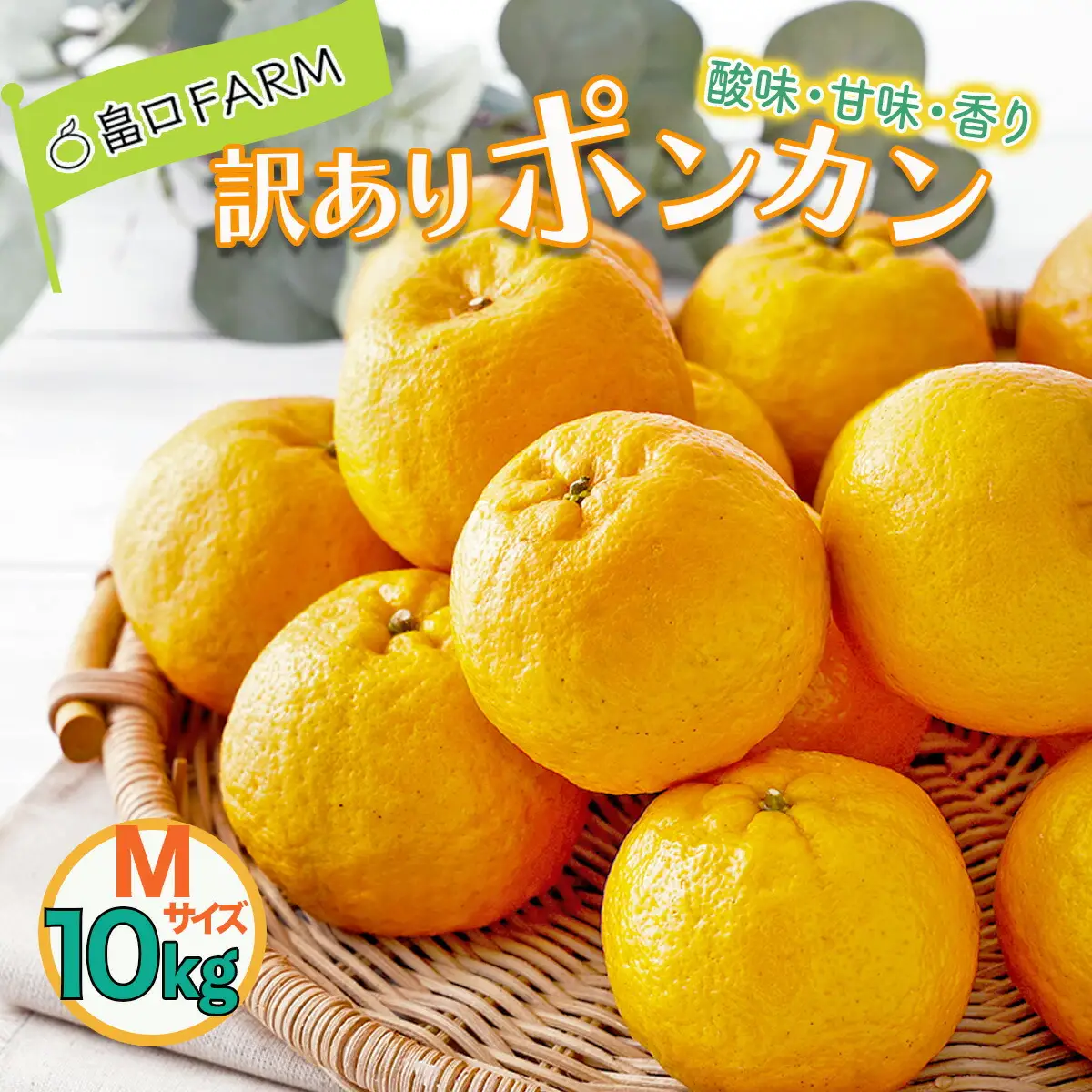 【先行予約】訳ありポンカン ＜10kg＞ Mサイズ
