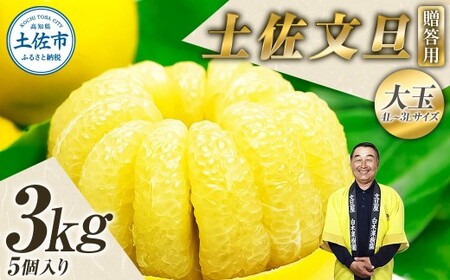 【先行予約】【果樹園直送】土佐文旦 特選品贈答用 約3kg 3L〜4Lサイズ 5個入り〈2027年2月中旬〜3月下旬頃発送〉  /  大玉 ぶんたん ブンタン フルーツ 柑橘 みかん 果物 くだもの 柑橘類 デザート おやつ【白木果樹園】 [BQAI002]
