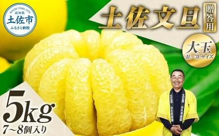 【先行予約】【果樹園直送】土佐文旦 特選品贈答用 約5kg 3L-4Lサイズ 7-8個入り〈2027年2月中旬-3月下旬頃発送〉  / 大玉 ぶんたん ブンタン フルーツ 柑橘 みかん 果物 くだもの 柑橘類【白木果樹園】 [BQAI001]