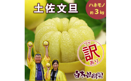 【先行予約】【果樹園直送】土佐文旦 訳ありご家庭用 約3kg L〜4Lサイズ 約5〜7個入り〈2027年2月中旬〜3月下旬頃発送〉  / B級品 ぶんたん ブンタン フルーツ 柑橘 みかん 果物 くだもの 柑橘類 デザート【白木果樹園】 [BQAI014]
