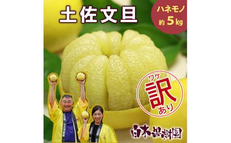 【先行予約】【果樹園直送】土佐文旦 訳ありご家庭用 約5kg L〜4Lサイズ 約7〜13個入り〈2027年2月中旬〜3月下旬頃発送〉  / B級品 ぶんたん ブンタン フルーツ 柑橘 みかん 果物 くだもの 柑橘類【白木果樹園】 [BQAI013]