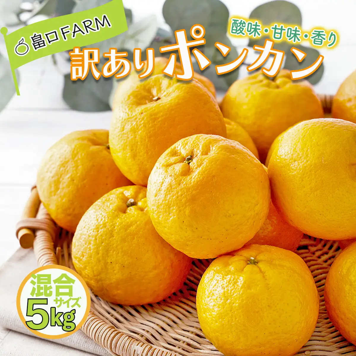 【先行予約】訳ありポンカン ＜5kg＞ サイズ混合