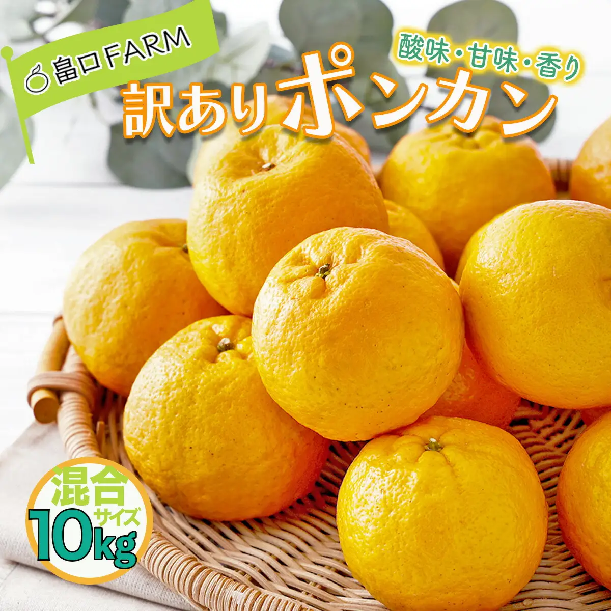 【先行予約】訳ありポンカン ＜10kg＞ サイズ混合
