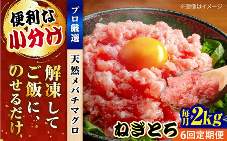 【全6回定期便】まぐろ ねぎとろ 約2kg（約250g×8パック） 鮪 マグロ 魚 ネギトロ 横須賀【横須賀商工会議所 おもてなしギフト事務局（本まぐろ直売所 横須賀本店）】 [AKAK039]