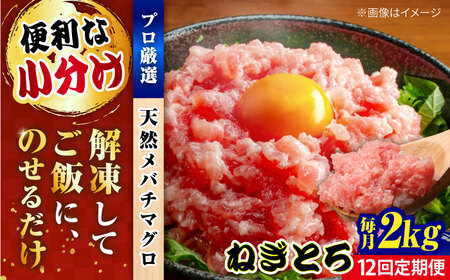 【全12回定期便】まぐろ ねぎとろ 約2kg（約250g×8パック） 鮪 マグロ 魚 ネギトロ 横須賀【横須賀商工会議所 おもてなしギフト事務局（本まぐろ直売所 横須賀本店）】 [AKAK040]