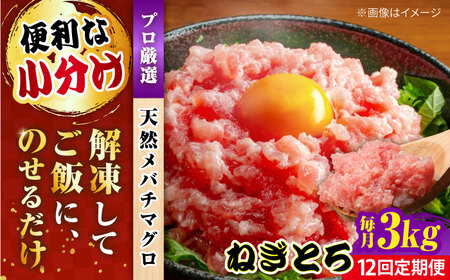 【全12回定期便】まぐろ ねぎとろ 約3kg（約250g×12パック）  [AKAK043]