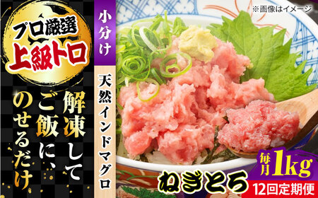 【全12回定期便】天然 まぐろ ねぎとろ 約1kg（約250g×4パック） 鮪 マグロ 魚 ネギトロ 横須賀【横須賀商工会議所 おもてなしギフト事務局（本まぐろ直売所 横須賀本店）】 [AKAK046]