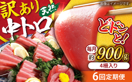 【全6回定期便】【訳あり】天然 まぐろ 中トロ メバチ 計約900g (4柵入り) マグロ 定期 鮪 まぐろ 中とろ 刺身  定期便【横須賀商工会議所 おもてなしギフト事務局（本まぐろ直売所 横須賀本店）】 [AKAK051]