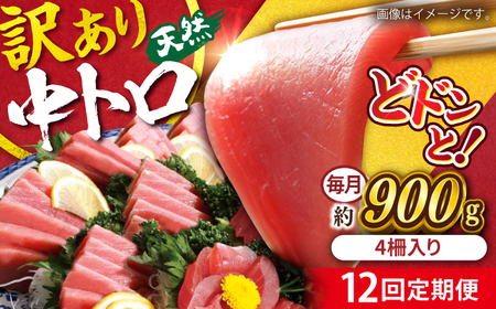 【全12回定期便】【訳あり】天然 まぐろ 中トロ メバチ 計約900g (4柵入り) まぐろ まぐろまぐろまぐろまぐろまぐろまぐろまぐろまぐろまぐろ【横須賀商工会議所 おもてなしギフト事務局（本まぐろ直売所 横須賀本店）】 [AKAK052]