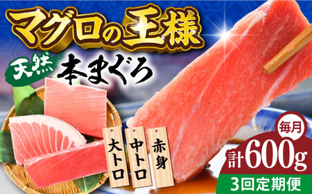 【全3回定期便】天然 本まぐろ 大トロ・中トロ・赤身（約200ｇ×3柵）約600ｇ  鮪 マグロ 魚 刺身 横須賀【横須賀商工会議所 おもてなしギフト事務局（本まぐろ直売所 横須賀本店）】 [AKAK074]