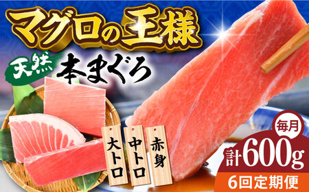 【全6回定期便】天然 本まぐろ 大トロ・中トロ・赤身（約200ｇ×3柵）約600ｇ  鮪 マグロ 魚 刺身 横須賀【横須賀商工会議所 おもてなしギフト事務局（本まぐろ直売所 横須賀本店）】 [AKAK075]