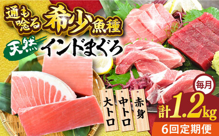 【全6回定期便】天然 まぐろ 大トロ・中トロ・赤身（約200ｇ×6柵）約1200ｇ 鮪 マグロ 魚 刺身 横須賀【横須賀商工会議所 おもてなしギフト事務局（本まぐろ直売所 横須賀本店）】 [AKAK084]