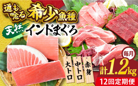 【全12回定期便】天然 まぐろ 大トロ・中トロ・赤身（約200ｇ×6柵）約1200ｇ 鮪 マグロ 魚 刺身 横須賀【横須賀商工会議所 おもてなしギフト事務局（本まぐろ直売所 横須賀本店）】 [AKAK085]