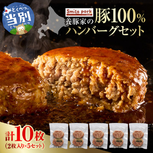 養豚家の豚100％ハンバーグセット 120g2枚入りパック×5セット計10枚