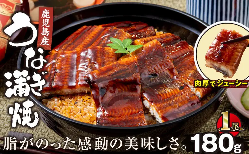【 土用の丑の日特集 】 2521 鹿児島産うなぎ 合計180g（180g×1尾） KN021-015-01 鰻 魚 惣菜 総菜