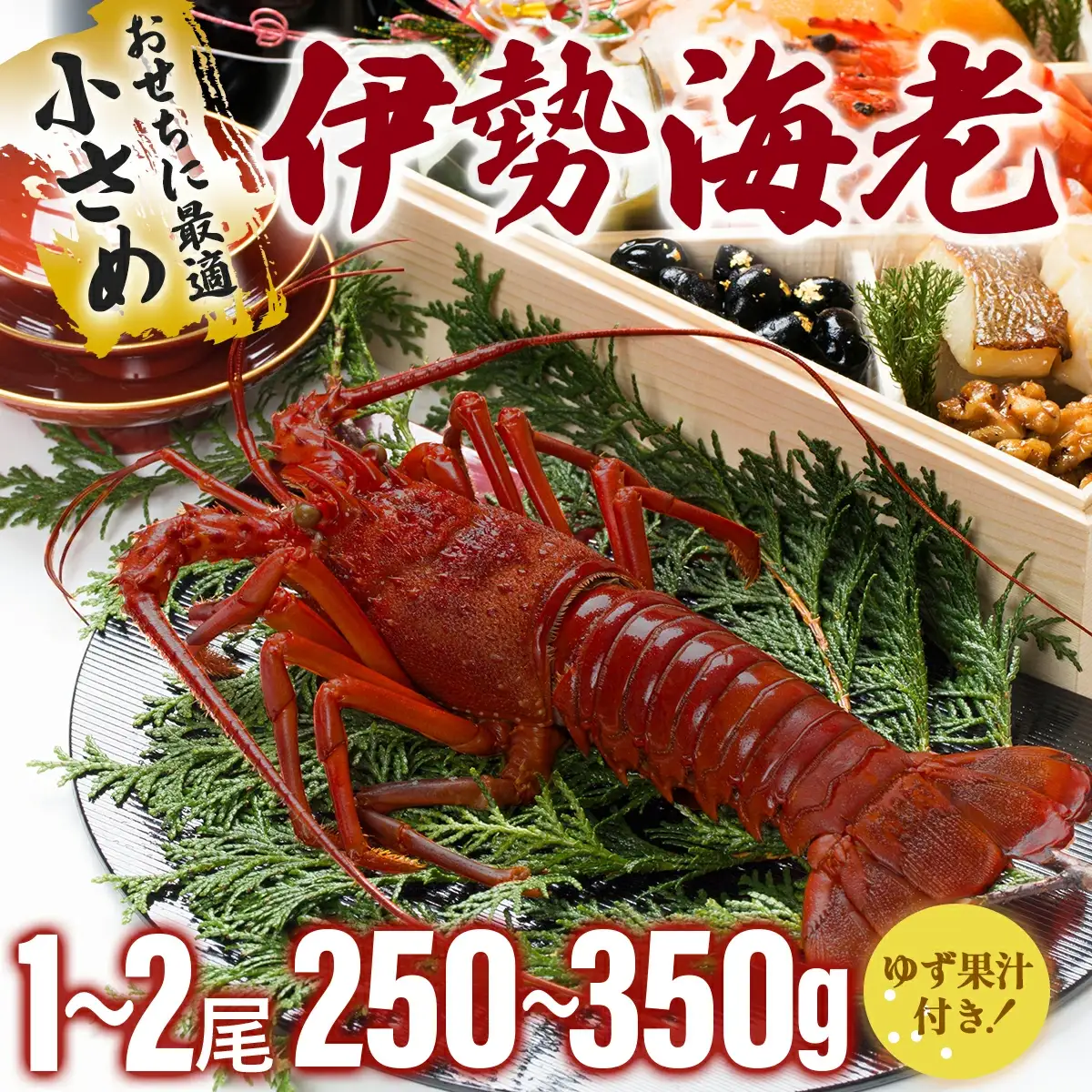 伊勢海老おせちサイズ 1~2尾セット【冷凍】S184 【株式会社森海家】