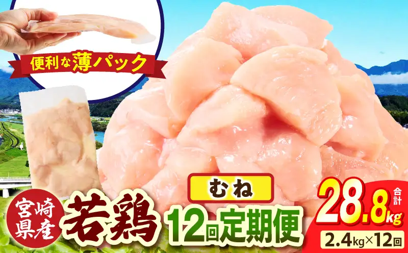 宮崎県産 若鶏切身 むね肉 2.4kg（300g×8袋）【12か月定期便】_b0779_it_x2