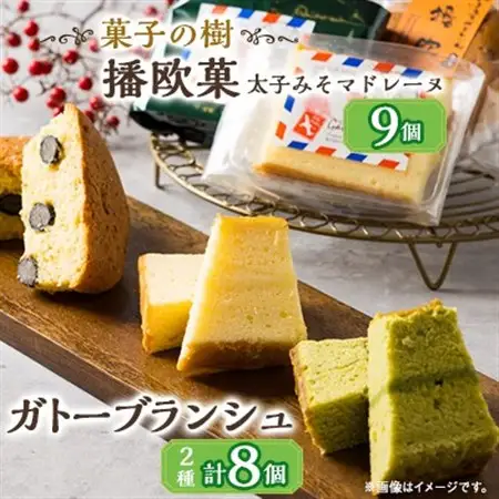 播欧菓～太子みそマドレーヌ～とガトーブランジュ詰め合わせ【配送不可地域：離島】【1494499】