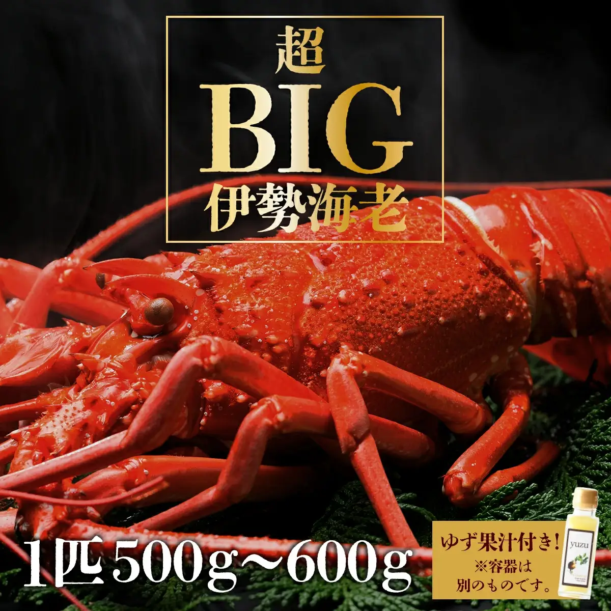 超BIG伊勢海老＜1匹＞【冷凍】 S201 【株式会社森海家】